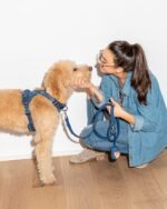 Waterproof Dog Leash - Image 49