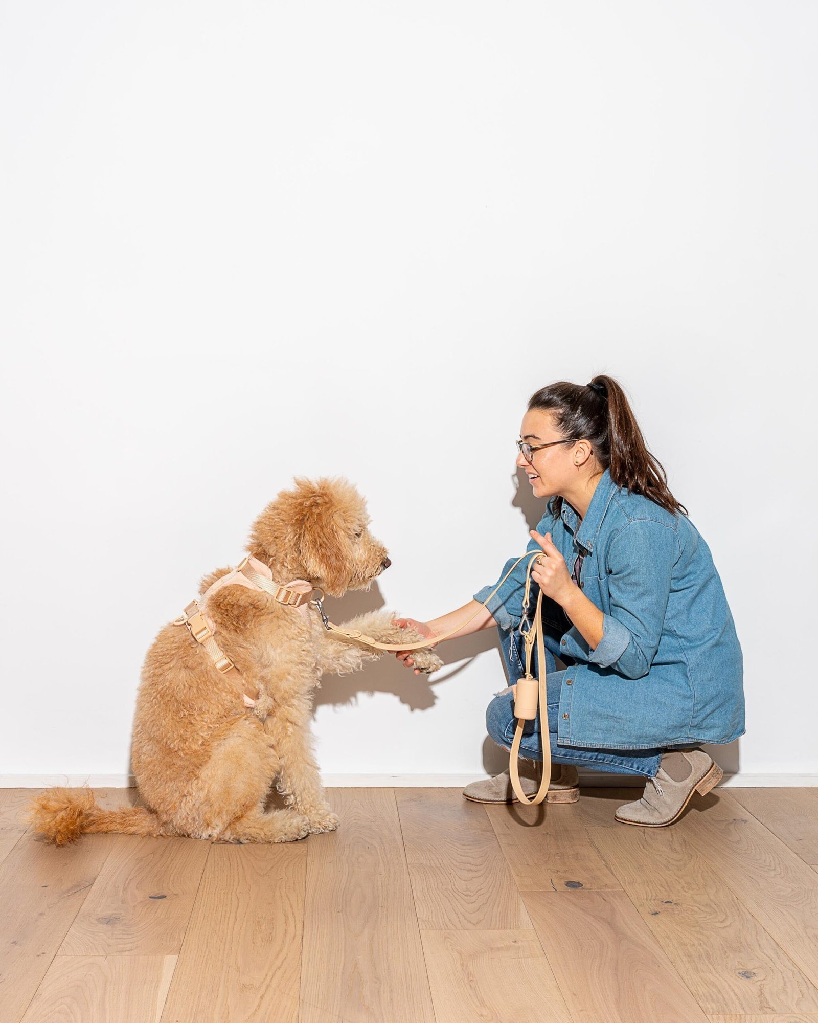 Waterproof Dog Leash - Image 60