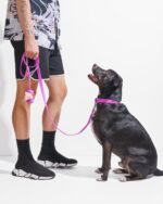 Waterproof Dog Collar - Image 23