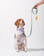 Cushioned Harness + Waterproof Leash Walk Kit - Image 5