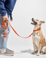 Waterproof Dog Collar - Image 84