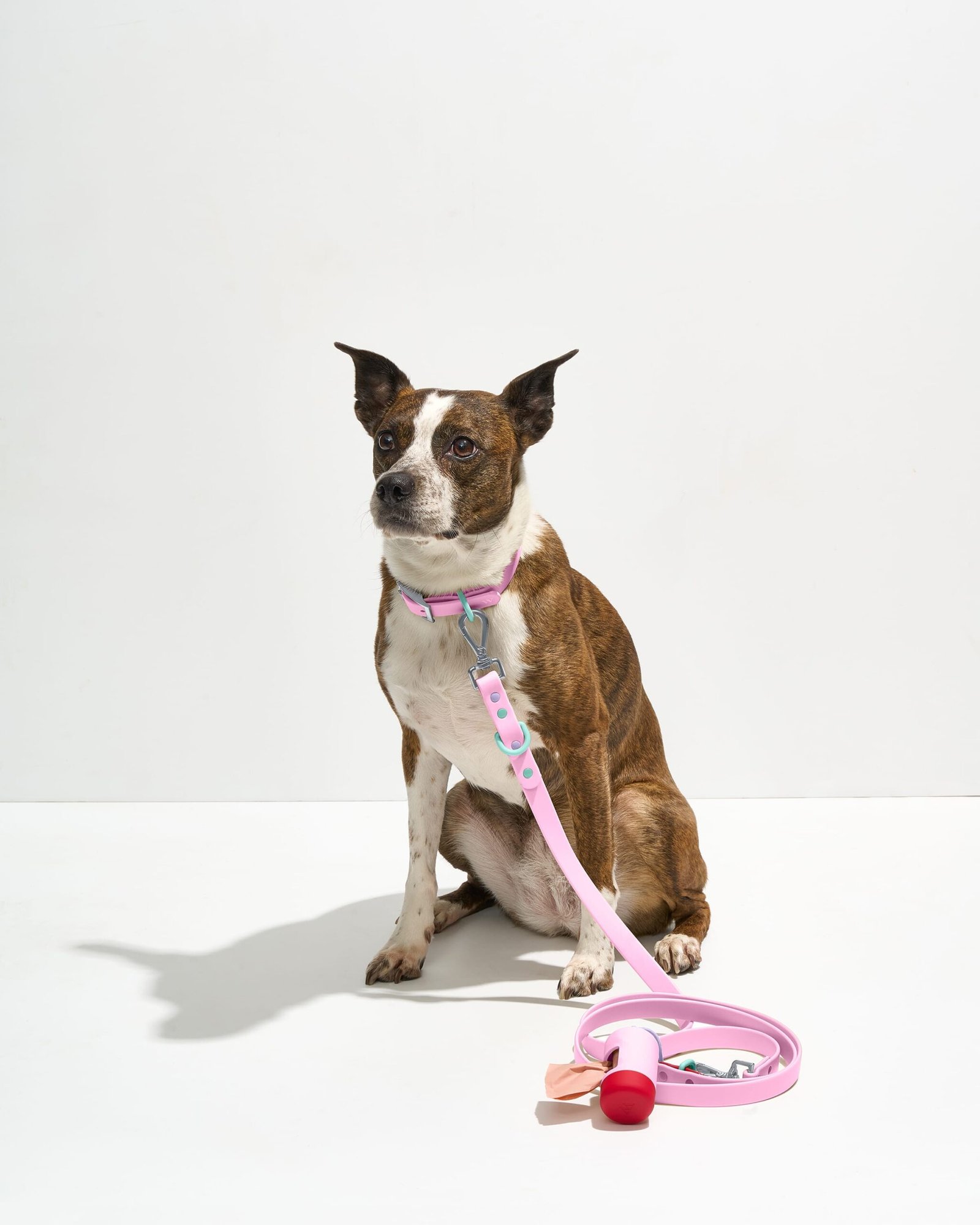 WO_VM_WalkKitCollar_Bubblegum_OnDog_PDP_02_4x5_Web Waterproof Collar + Waterproof Leash Walk Kit - Image 1