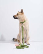 Waterproof Dog Collar - Image 79