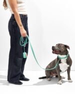 Waterproof Dog Collar - Image 13