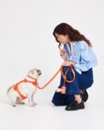 Waterproof Dog Leash - Image 70