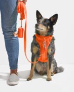 Waterproof Dog Leash - Image 69