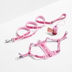 Step-In Harness + Lightweight Leash Walk Kit