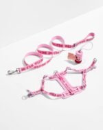 Step-In Harness + Lightweight Leash Walk Kit