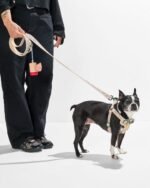Step-In Harness + Lightweight Leash Walk Kit - Image 6