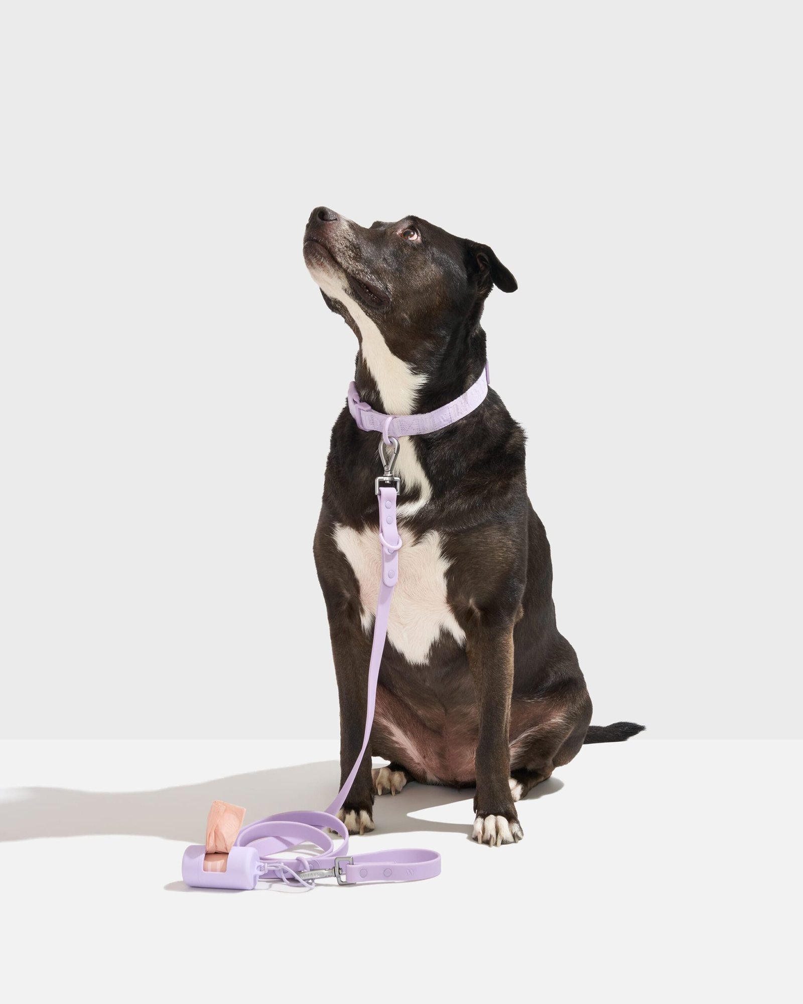 WO_VM_WalkKit_AirCollar_ClassicLeash_Lilac_L_Dog_PDP_01_4x5_Web Quick-Release Collar + Waterproof Leash Walk Kit - Image 1