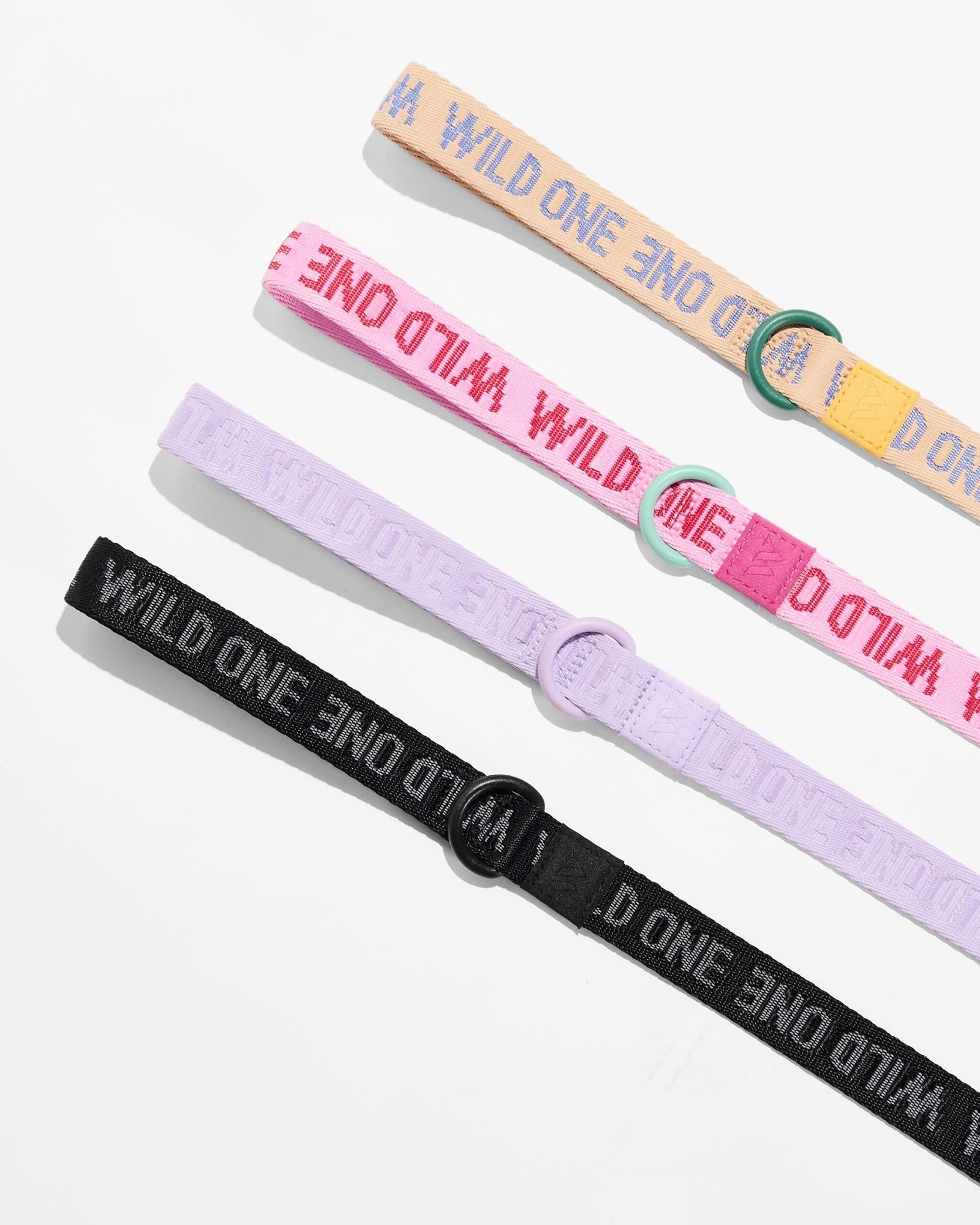 Quick-Release Collar + Lightweight Leash Walk Kit - Image 6
