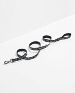 Cushioned Harness + Lightweight Leash Walk Kit - Image 5