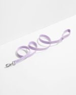 Quick-Release Collar + Lightweight Leash Walk Kit - Image 3