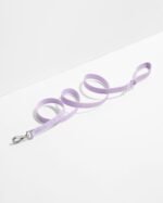 Quick-Release Collar + Lightweight Leash Walk Kit - Image 3